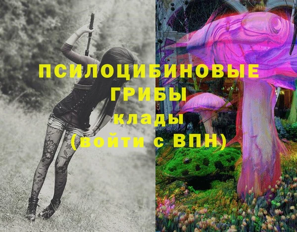 кокс Гусиноозёрск