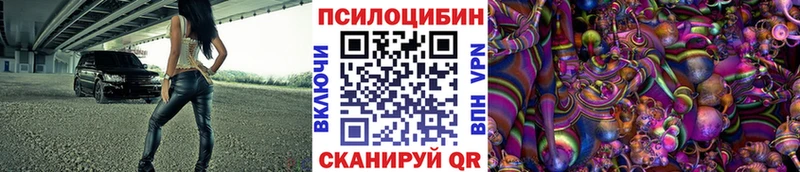 Купить закладки  Хадыженск  Псилоцибиновые грибы прущие грибы 